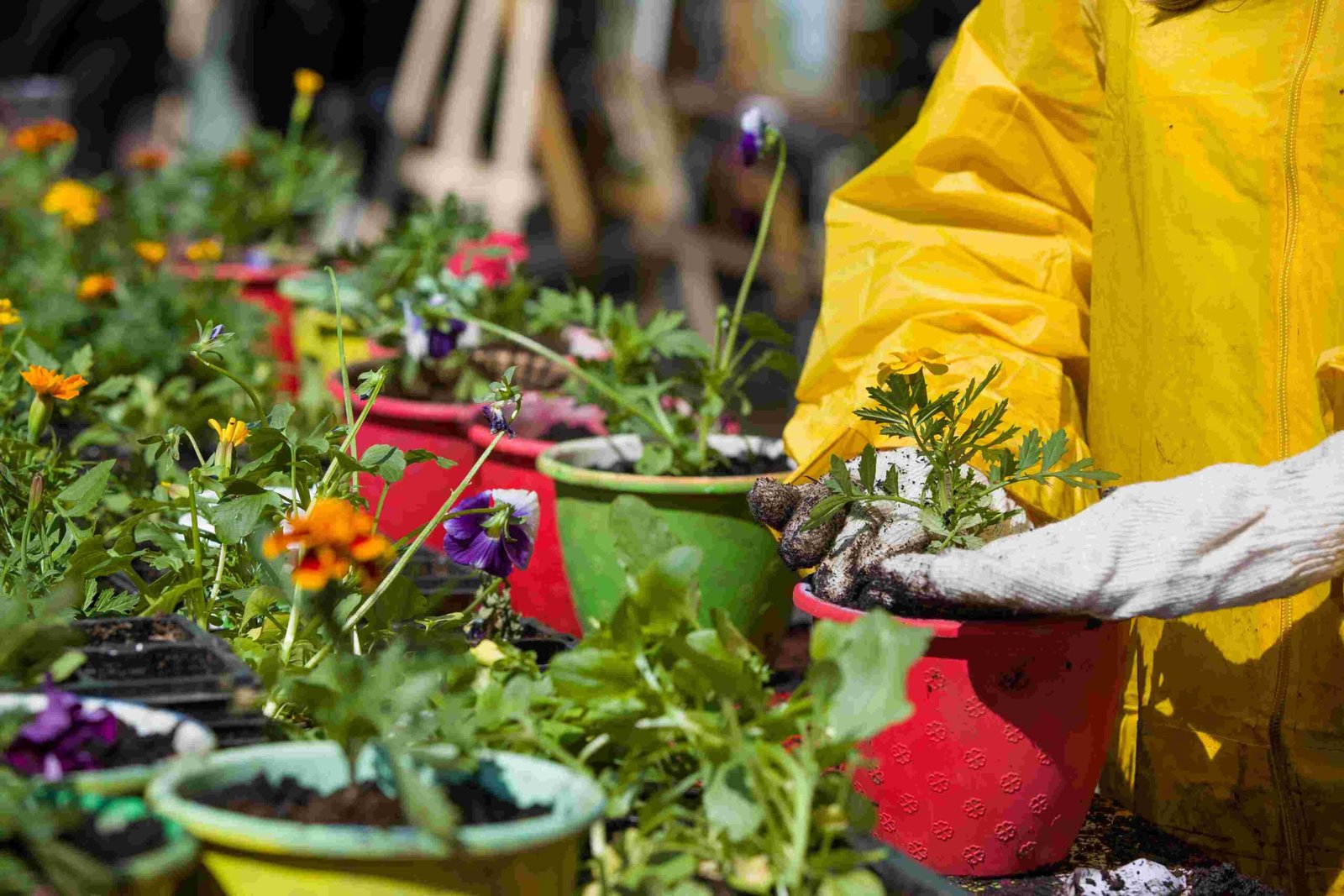 Gardening Clearance scaled